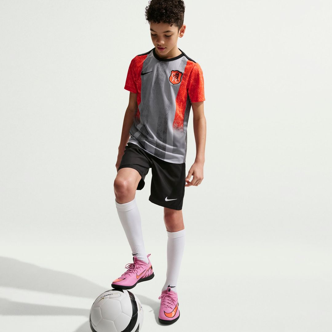 Chelsea Nike Youth 2025/26 Academy Pro Pre-Match Top - Gray
