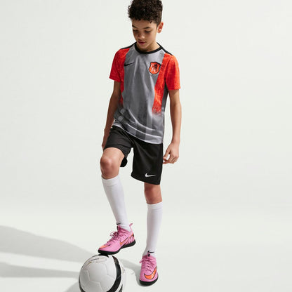 Chelsea Nike Youth 2025/26 Academy Pro Pre-Match Top - Gray
