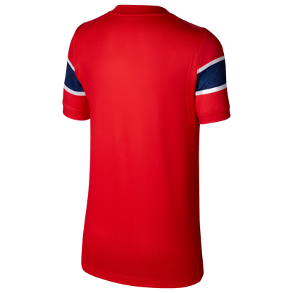 Norway National Team Nike Youth 2026 Away Stadium Replica Jersey - Black