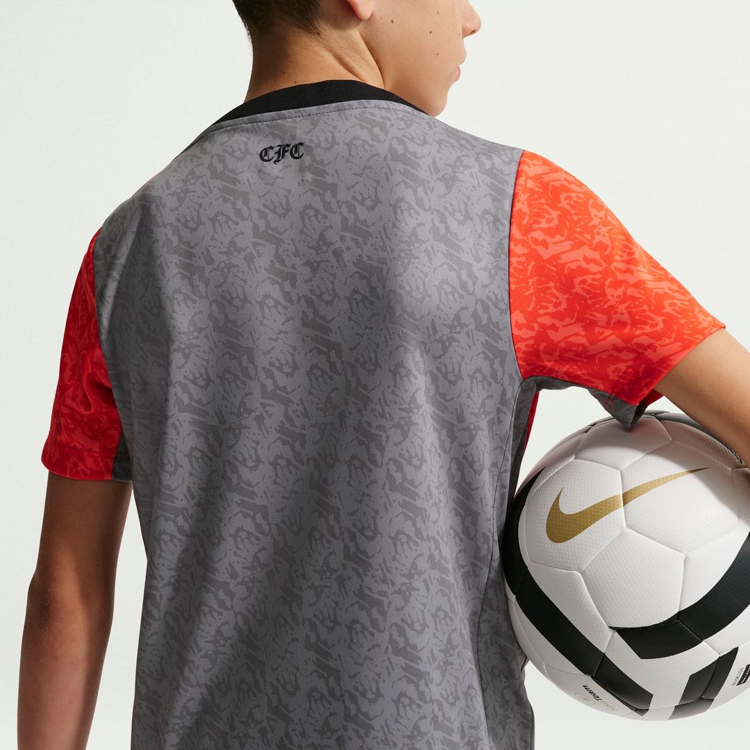 Chelsea Nike Youth 2025/26 Academy Pro Pre-Match Top - Gray