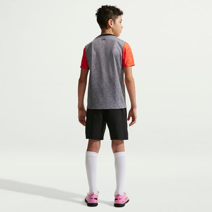 Chelsea Nike Youth 2025/26 Academy Pro Pre-Match Top - Gray