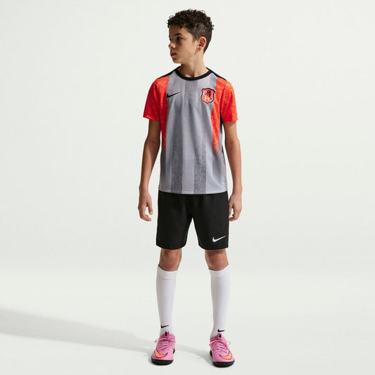 Chelsea Nike Youth 2025/26 Academy Pro Pre-Match Top - Gray