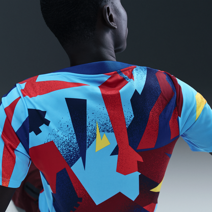 Barcelona Nike Special Edition Academy Pro Pre-Match Dri-FIT Top - Blue