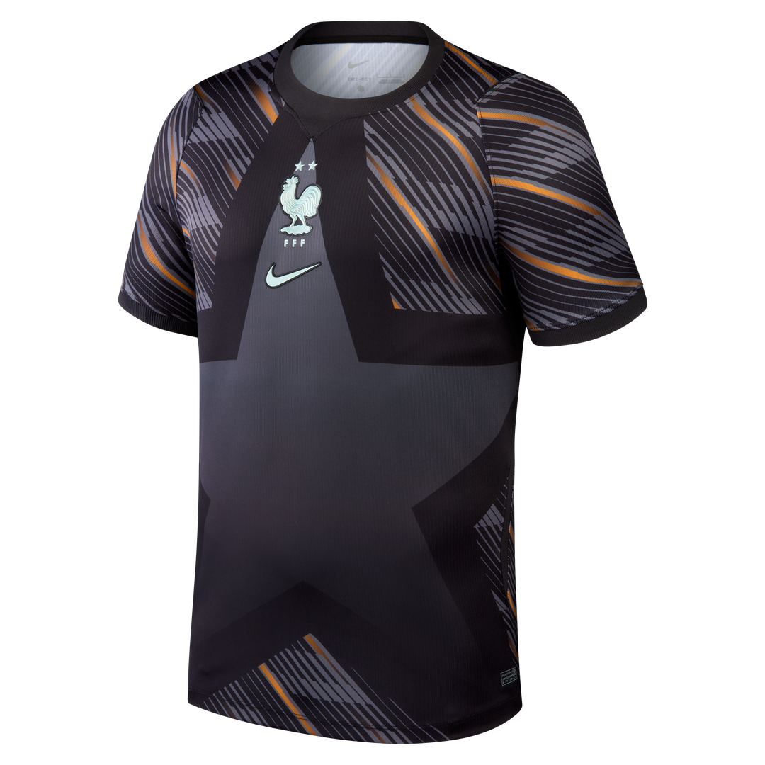 France National Team Nike Men's 2026 Goalkeeper Stadium Replica Jersey - Gray