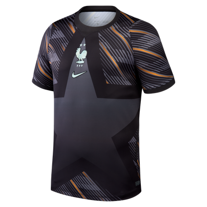 France National Team Nike Men's 2026 Goalkeeper Stadium Replica Jersey - Gray